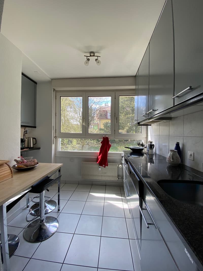 Wohntraum mit Cheminée in Bern (2)