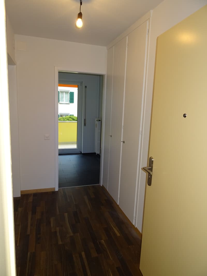 Schmuckstück im Trendquartier Breitsch (6)