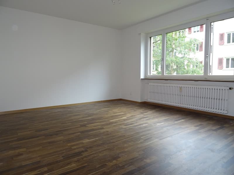 Schmuckstück im Trendquartier Breitsch (3)