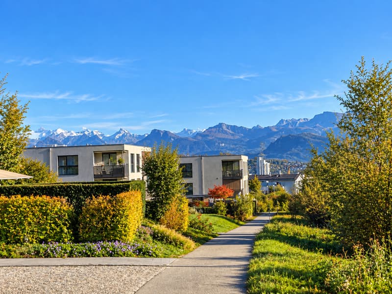 Adlatus AG | Bertis Grün - Ihre Auswahl an 2.5-Zimmer-Wohnungen (8)