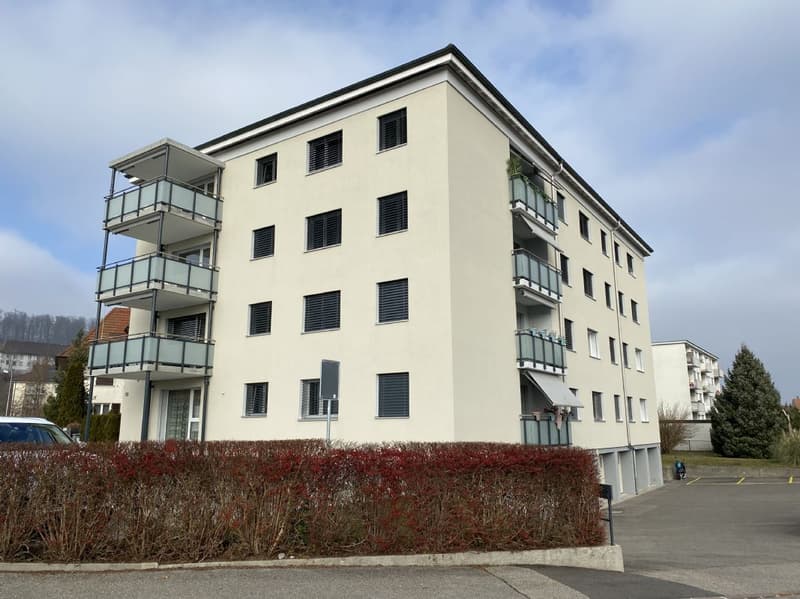 Modern ausgebaute 6.5-Zimmerwohnung in Niedergösgen zu vermieten (1)