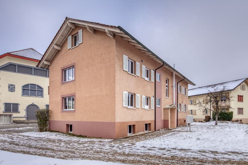 Komplett sanierte 1.5-Zimmerwohnungen in Oberentfelden zu vermieten (7)