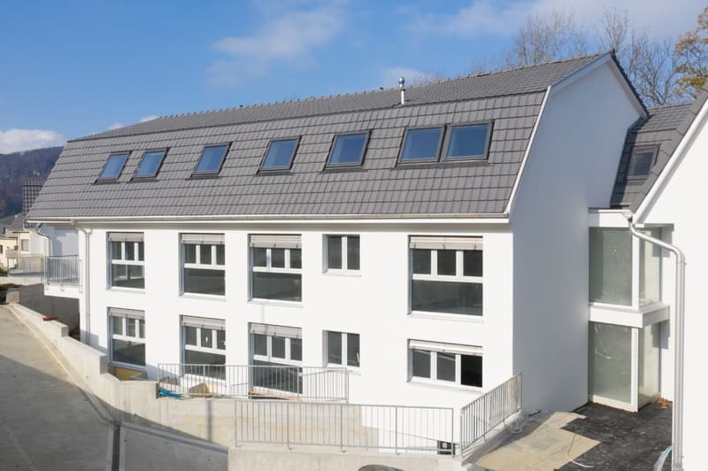 Moderne 5.5-Zimmerwohnung in Grellingen per sofort zu vermieten (1)