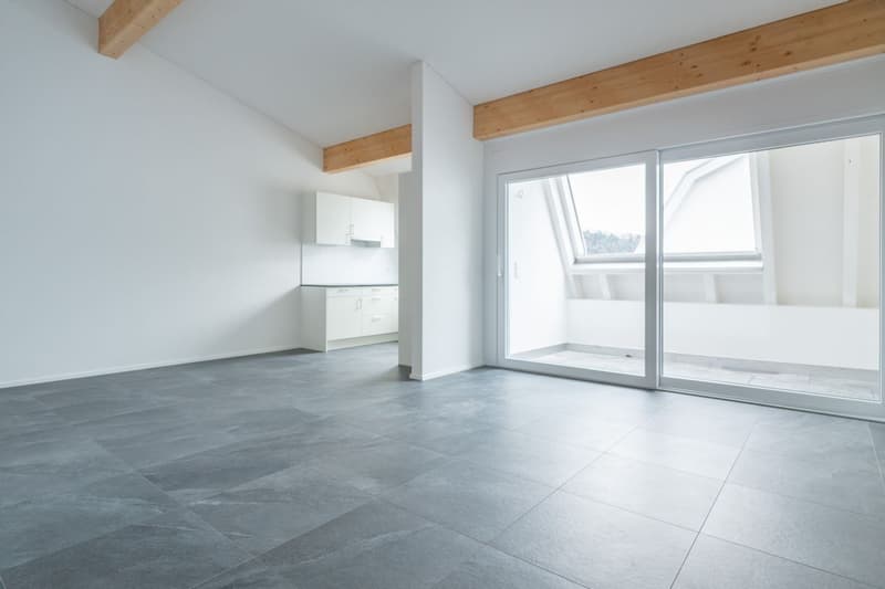 Ihre neue 2.5-Zimmerwohnung im Dachgeschoss in Grellingen (2)