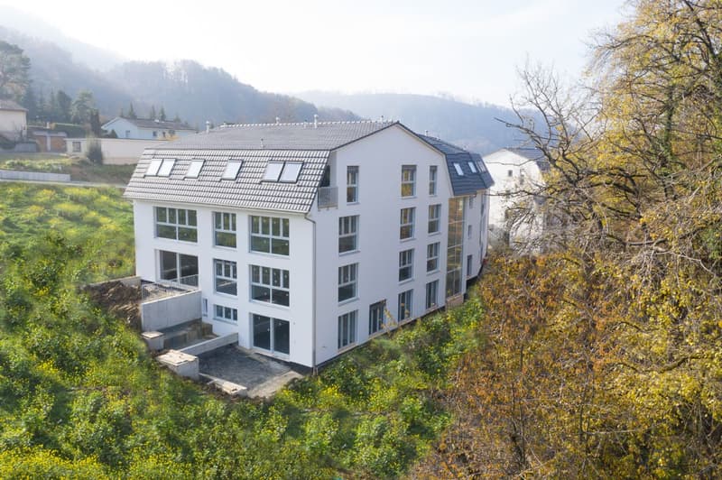 Ihre neue 4.5-Zimmerwohnung im Dachgeschoss in Grellingen (1)
