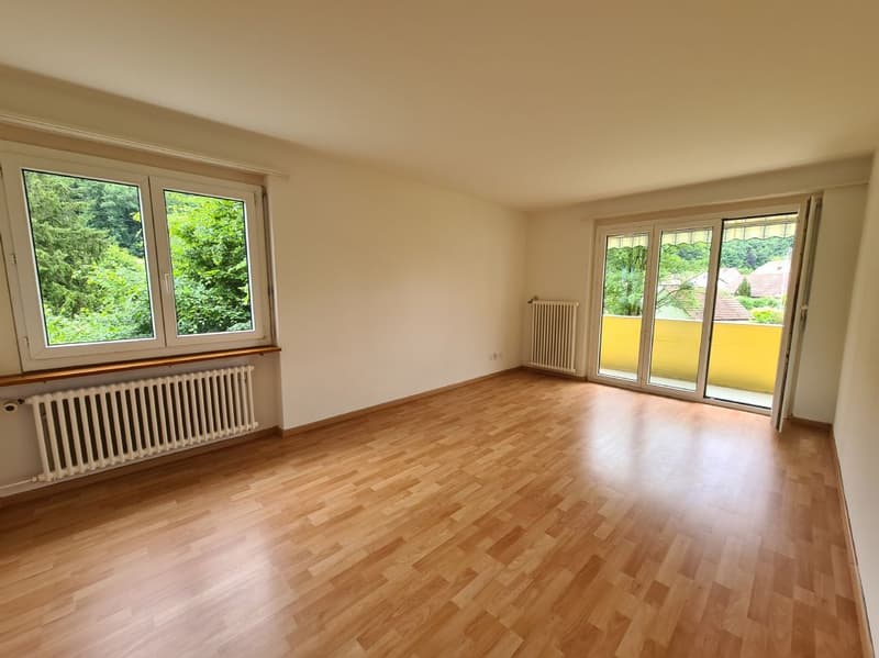 Schöne, helle 2-Zimmerwohnung in ruhigem Quartier in Schönenwerd (2)