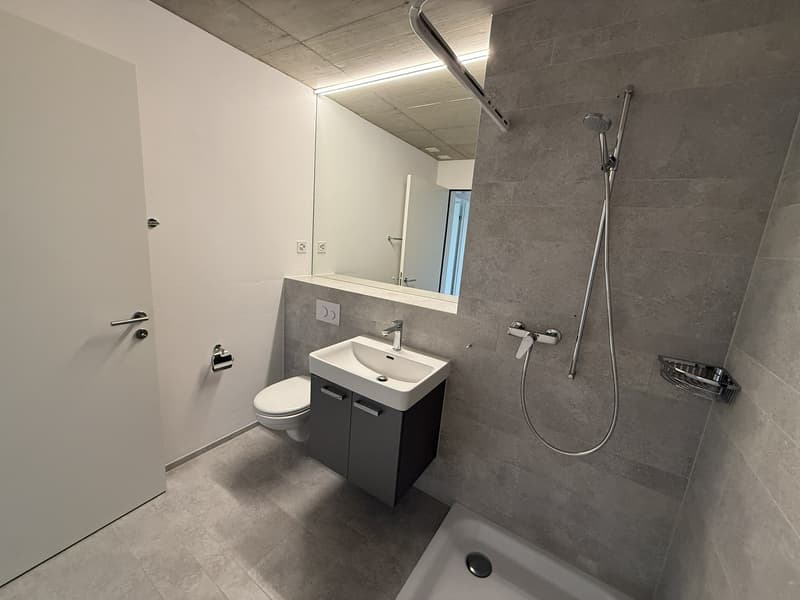 Appartement 4.5 pièces à louer à Wangen bei Olten (8)