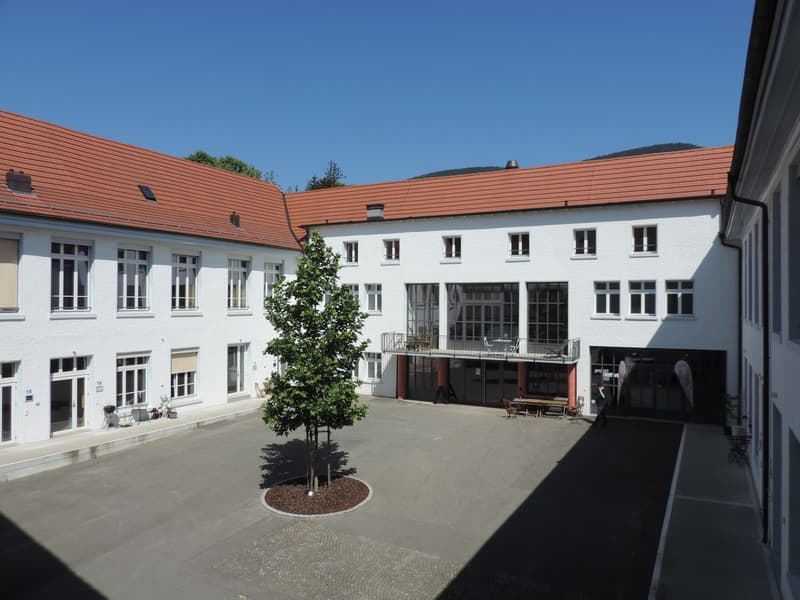 Office space in Wangen bei Olten (3)