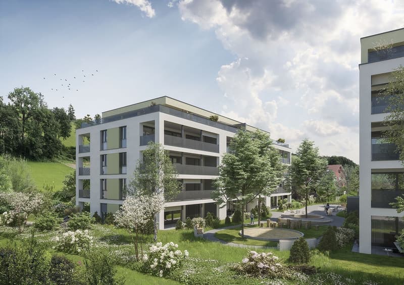 Appartamenti nuovi unici a Zofingen! (5)