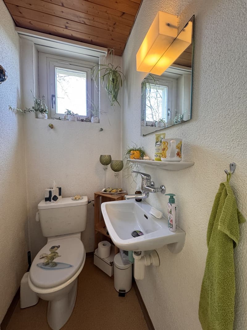 Maison spacieuse de 6,5 pièces avec annexe et vue imprenable (13)