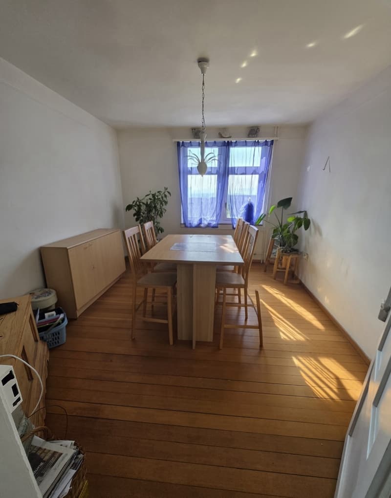 Maison spacieuse de 6,5 pièces avec annexe et vue imprenable (10)