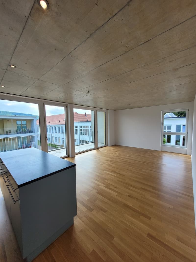 Charmant appartement 3.5 pièces à Wangen bei Olten (2)