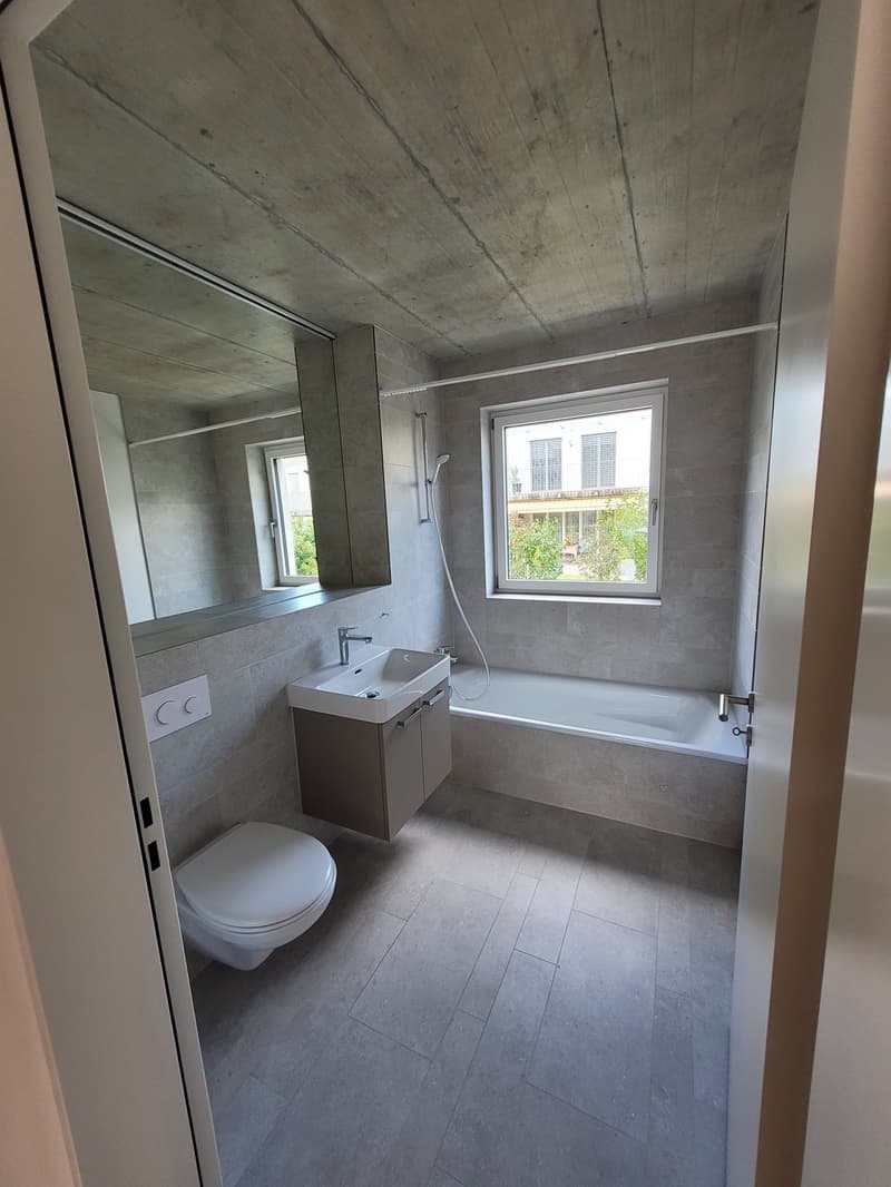 Charmant appartement 3.5 pièces à Wangen bei Olten (6)