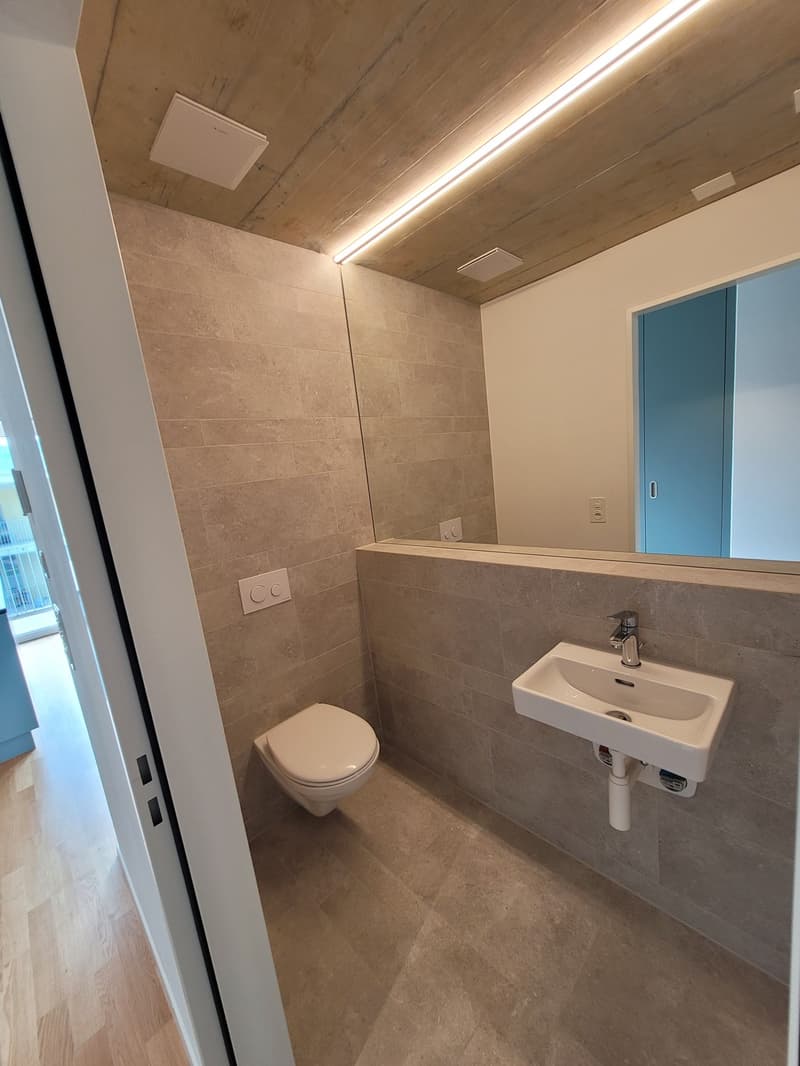 Charmant appartement 3.5 pièces à Wangen bei Olten (5)