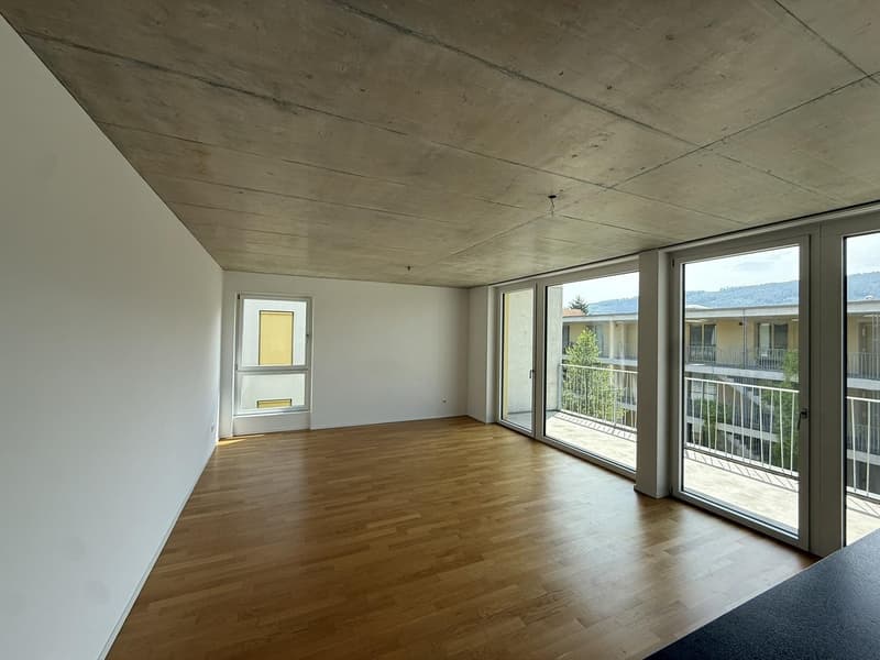 Charmante 3.5-Zimmerwohnung in Wangen bei Olten (2)