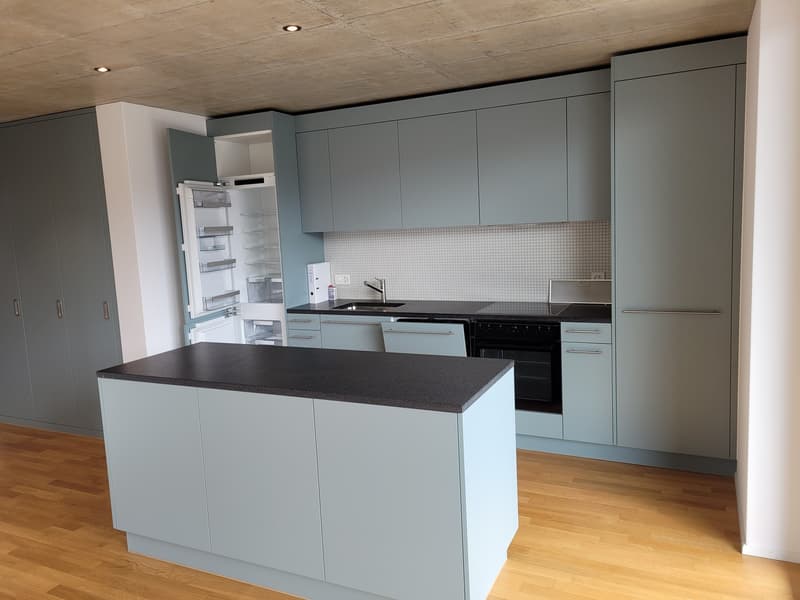 Charmant appartement 3.5 pièces à Wangen bei Olten (1)
