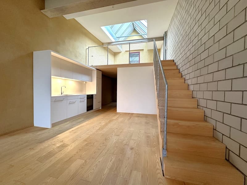 Modern 2.5-room loft apartment for rent (1)