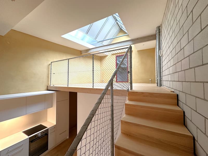 Modern 2.5-room loft apartment for rent (4)