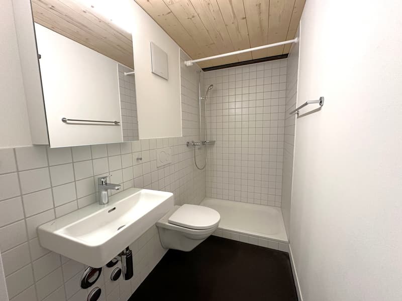 Modern 2.5-room loft apartment for rent (7)