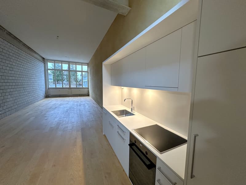 Modern 2.5-room loft apartment for rent (3)
