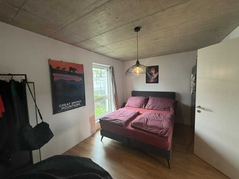 Appartamento di 2.5 locali in affitto a Wangen bei Olten (3)