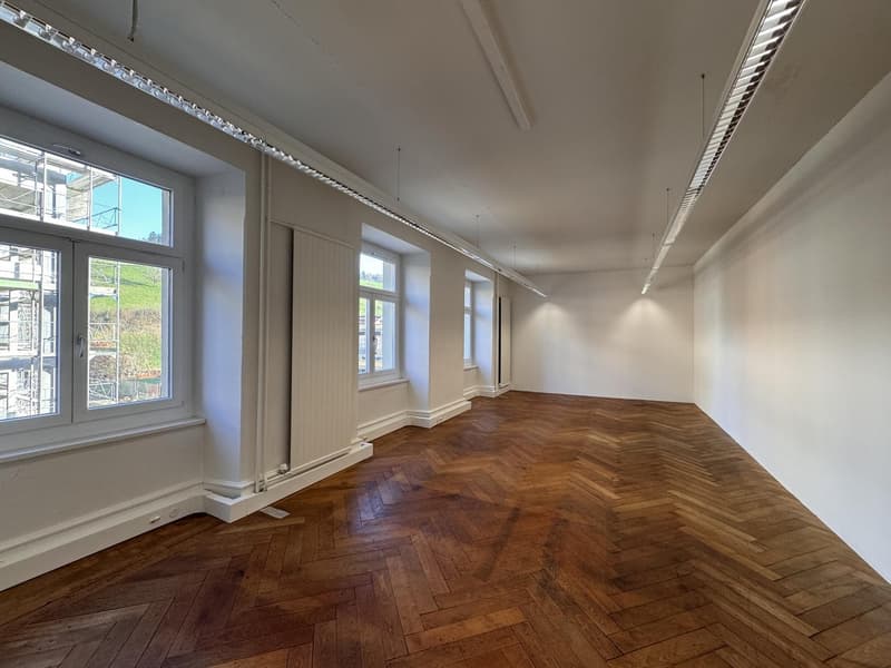 Office/Studio in Zofingen for rent (4)