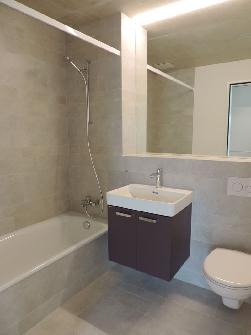 Helle 2.5-Zimmerwohnung in Wangen bei Olten (5)