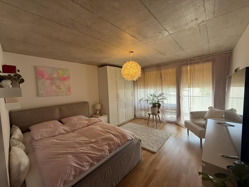 1.5-room apartment in Wangen bei Olten (4)