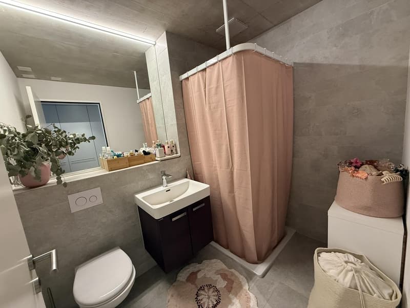 1.5-room apartment in Wangen bei Olten (6)