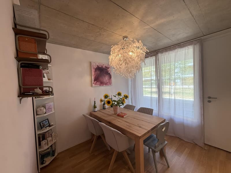 1.5-room apartment in Wangen bei Olten (2)