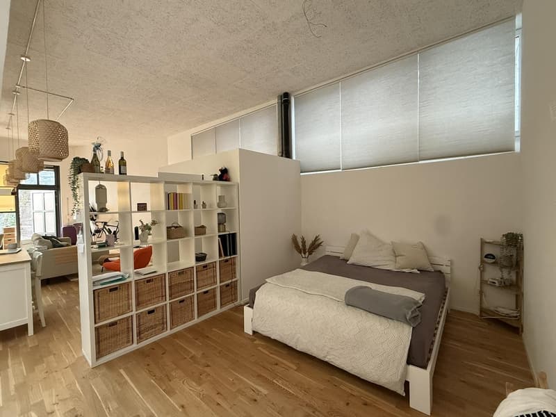 Charmante 1-Zimmerwohnung in Wangen bei Olten (4)
