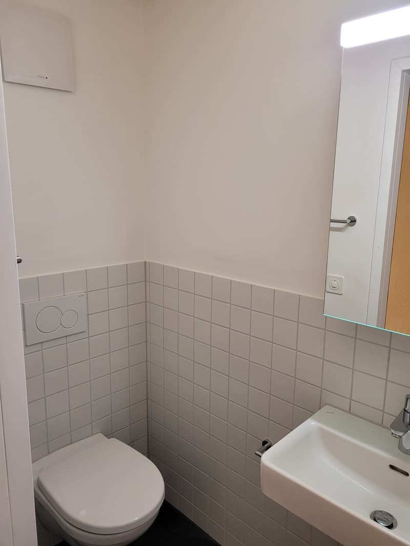 Charmante 1-Zimmerwohnung in Wangen bei Olten (7)