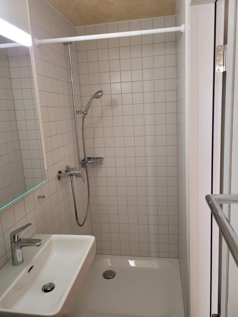 Charmante 1-Zimmerwohnung in Wangen bei Olten (6)