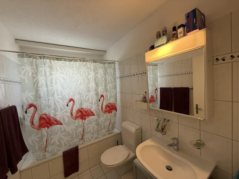 Charmante 3-Zimmerwohnung in Wangen bei Olten (5)