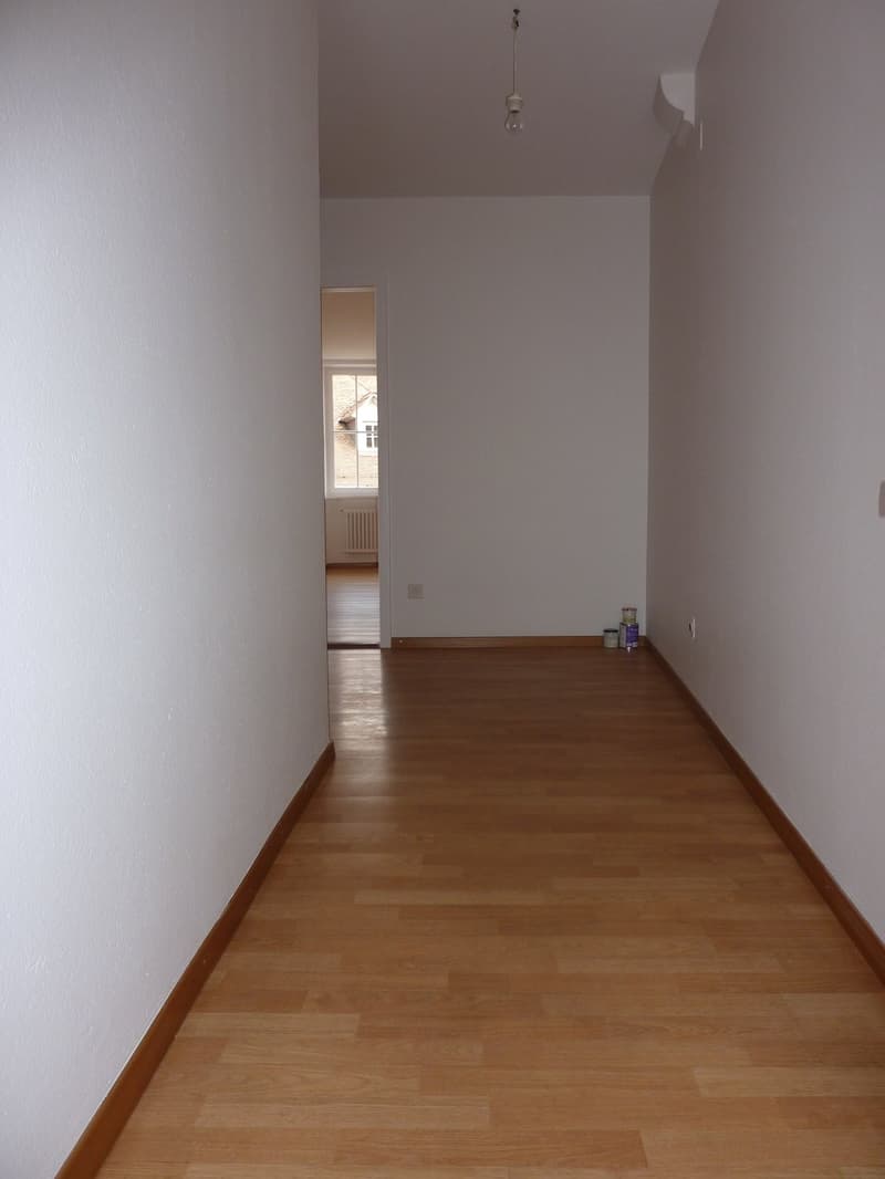 Appartamento 2.5 locali (3)