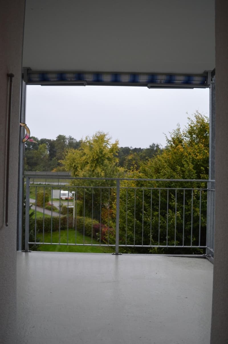 DSC_2956