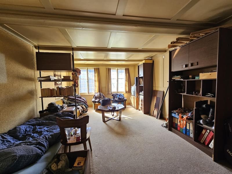 Wohn-Schlafzimmer 3