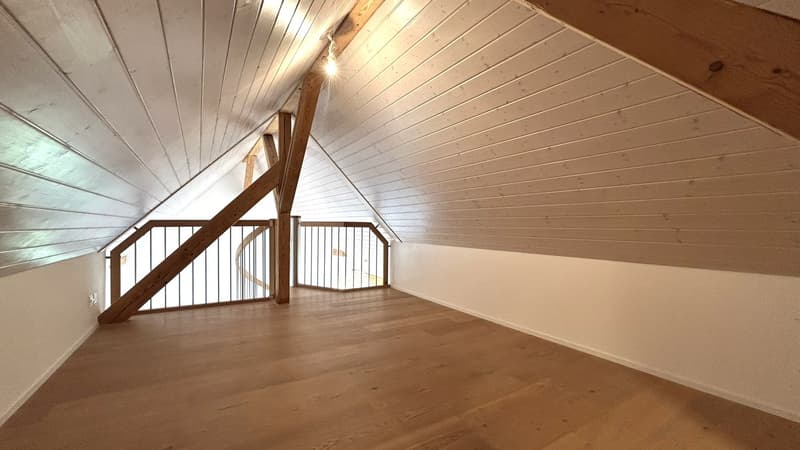 Exclusive Gallery Apartment (2)