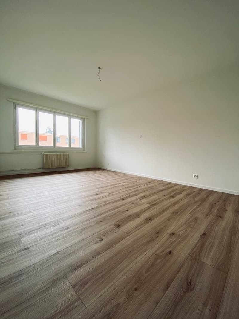 1920_2009_Zimmer