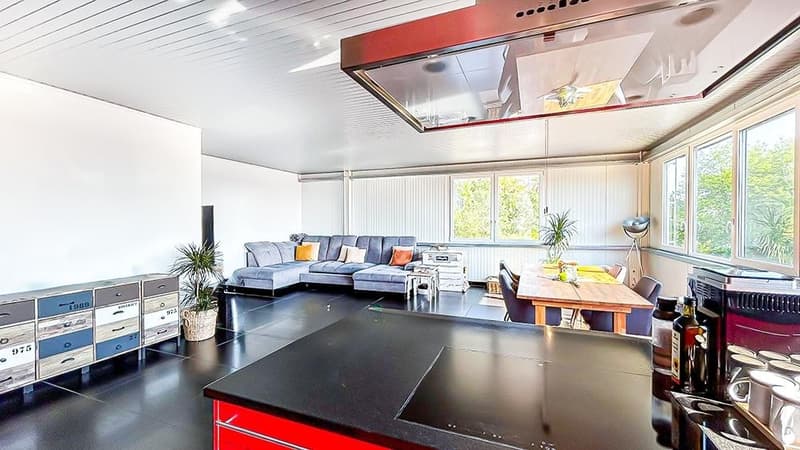 Grosszügige 4.5 Zimmer Wohnung inkl. Doppelgarage mit viel Privatsphäre und Dachterrasse (1)