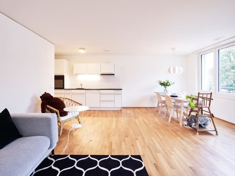 3.5 Zimmer Wohnung (4)