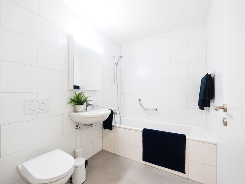 3.5 Zimmer Wohnung (3)