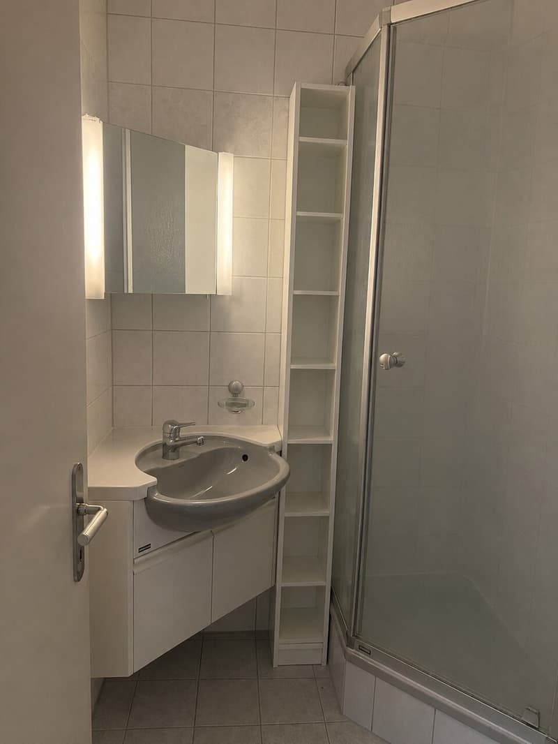 Appartement attrayant de 4½ pièces avec deux balcons, place de parking (9)