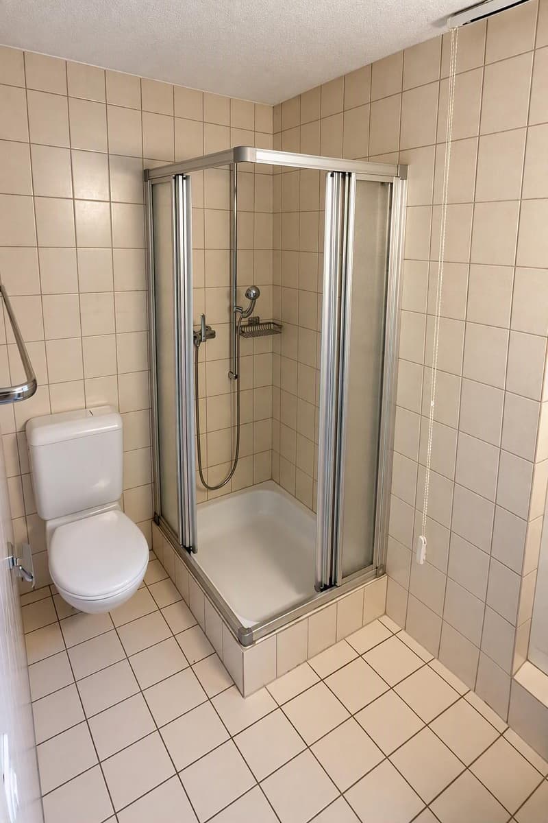 Schönes Studio in Lyss – ideal für Wochenaufenthalter (3)