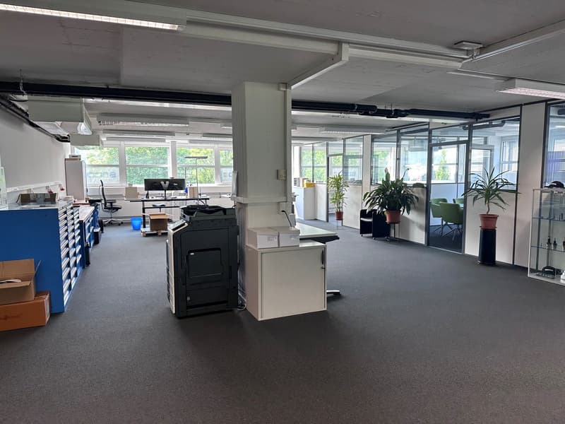 Open office layout with desks, computers, and office equipment. Large windows providing natural light. Plants and decor elements present.