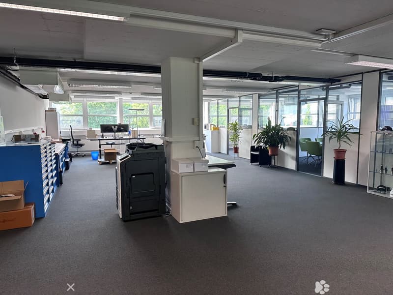 Open office layout with desks, computers, and office equipment. Large windows providing natural light. Plants and decor elements present.