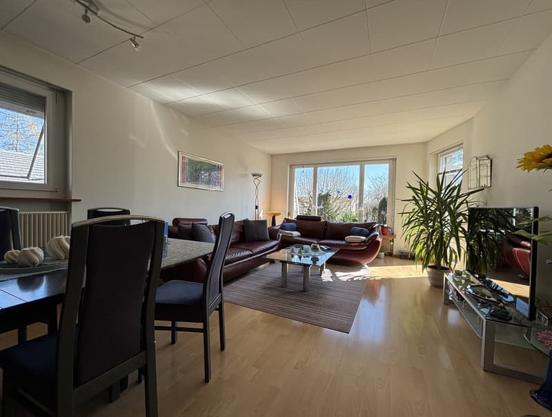 Casa unifamiliare con dependance e grande giardino (12)