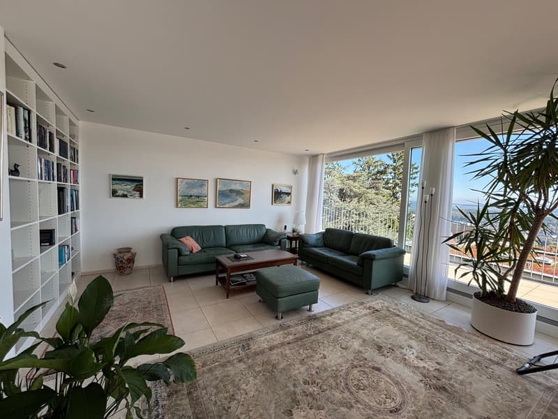 open space, large windows, balcony, 2 green couches, ottoman, coffee table, carpet, bookshelves, vases, paintings