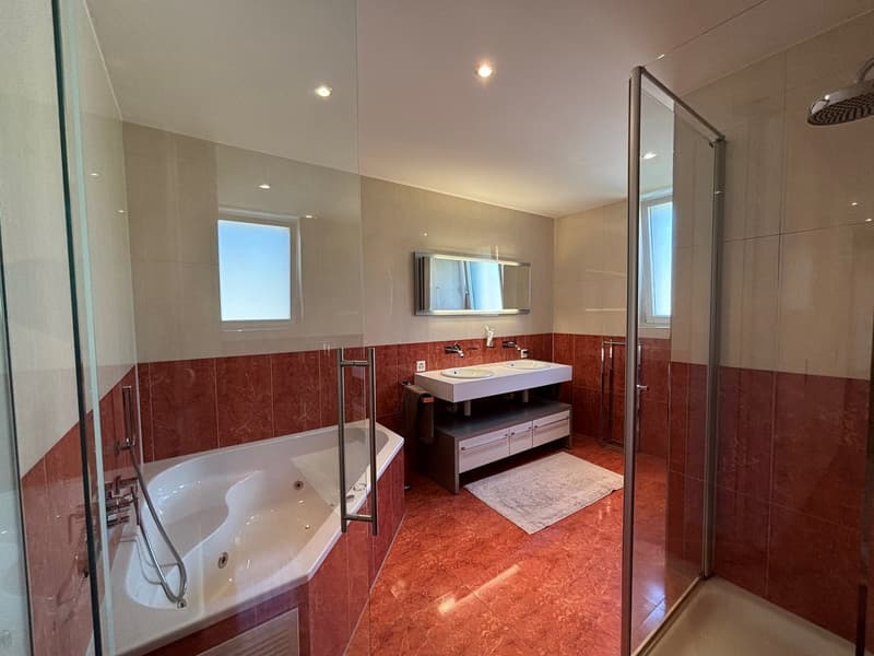 Modern bathroom with red tiles, large walk-in shower, double vanity with twin sinks, bathtub, towel rack, and a glass door.