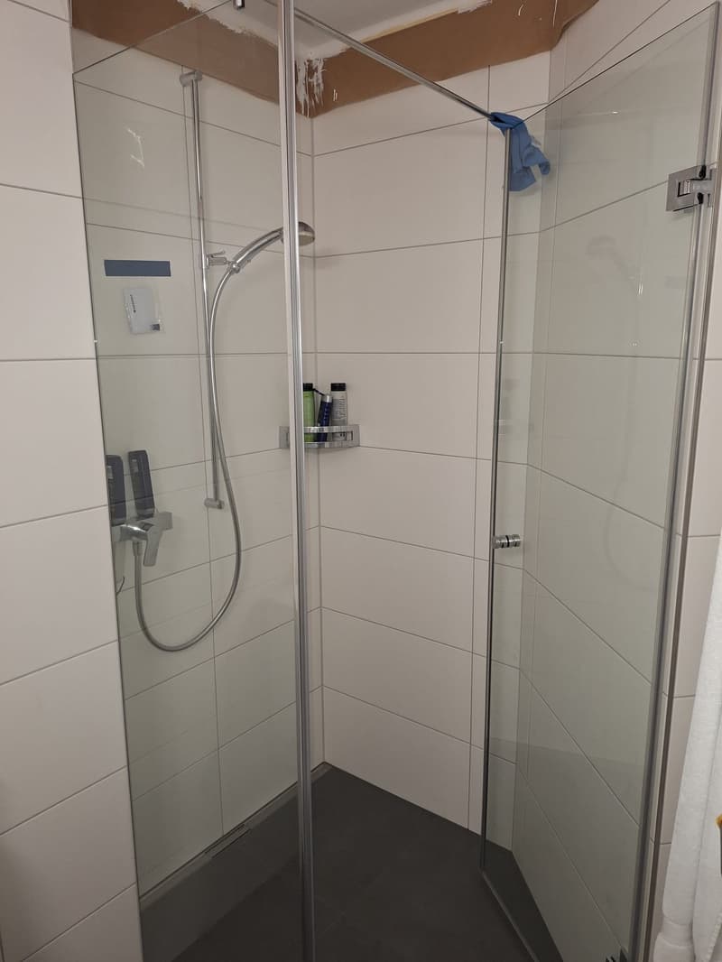 Large 4.5-room apartment in a family-friendly neighborhood (5)